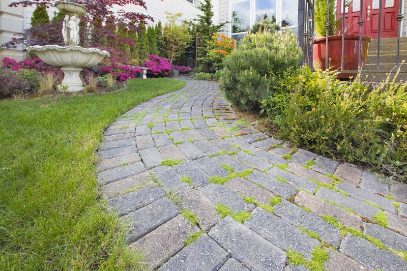 Sealed Paver Pathway